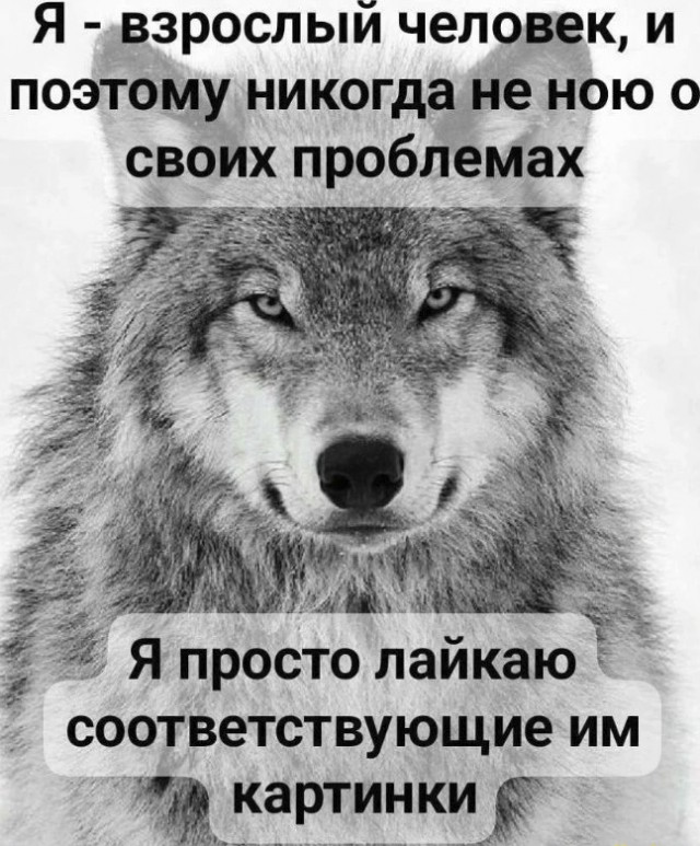 Картинки и мемы, всем хороших выходных