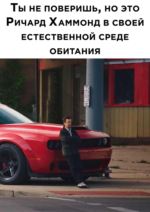 Картинки и мемы для настроения - 119