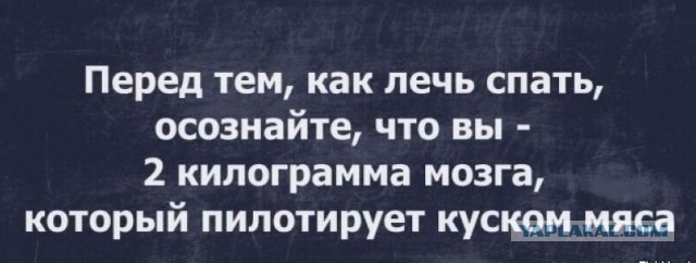 Так себе картинки 14.05.23