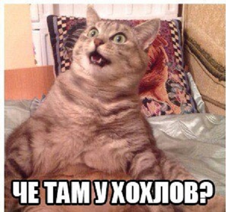 Подоляк расстроен