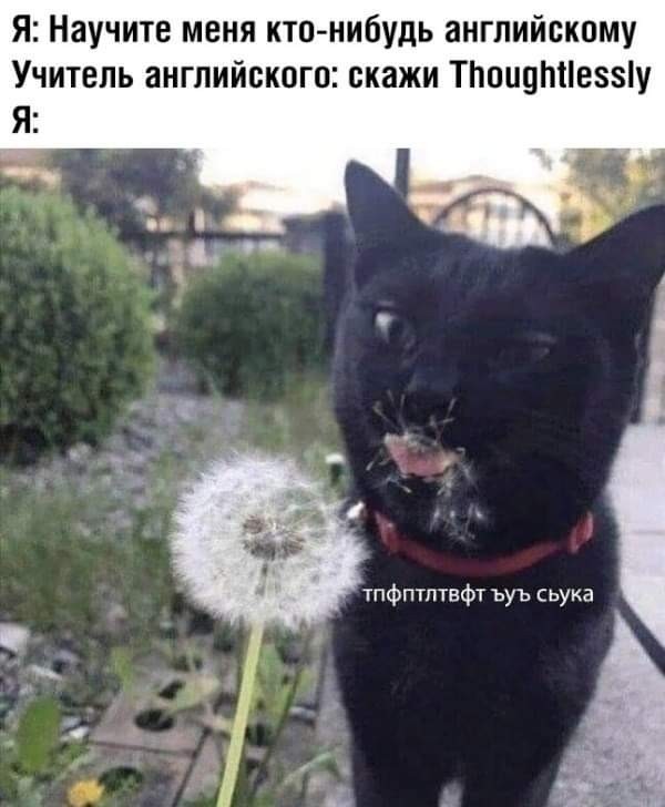 Бояны 8-ми летней выдержки
