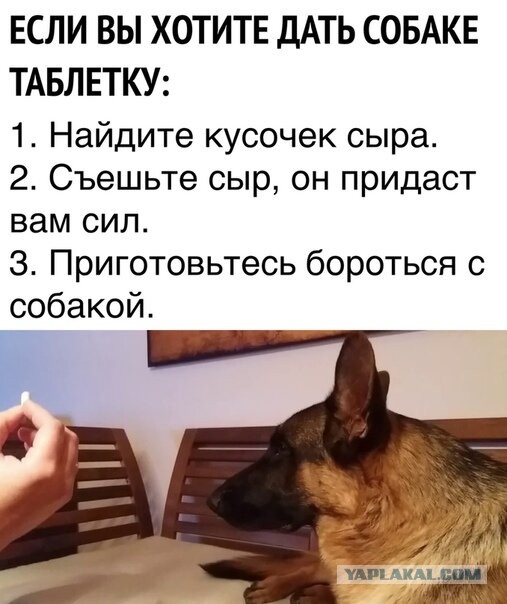 Завалялось тут случайно немного забавных картинок