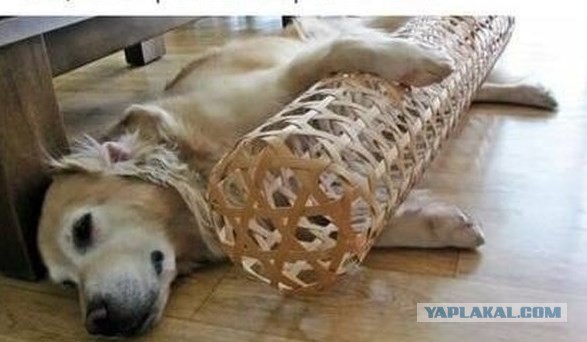 Завалялось тут случайно немного забавных картинок