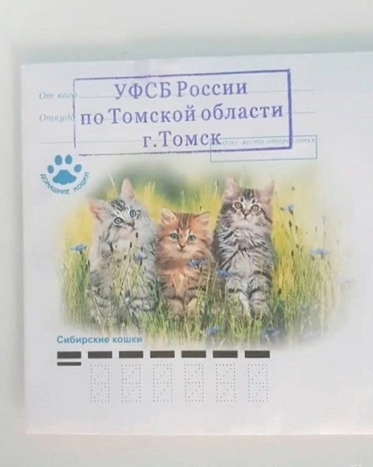 - Давайте я вам переведу