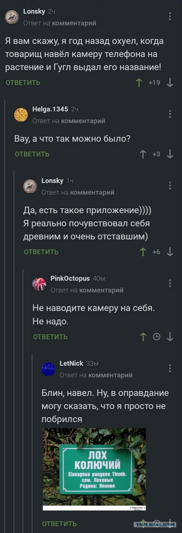 Деградируем и подпеваем - v. 2,0