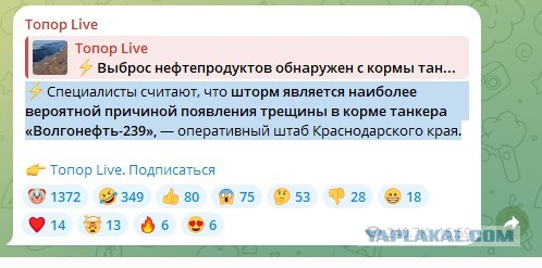 Специалисты-чиновники наконец нашли виноватого в разливе нефти.