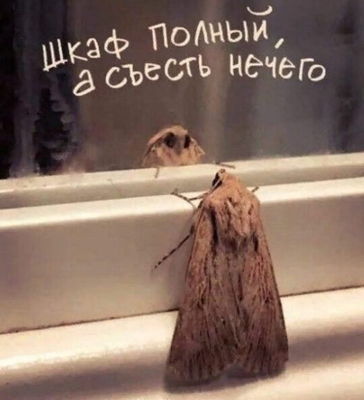 Веселые картинки в понедельник (13.01)