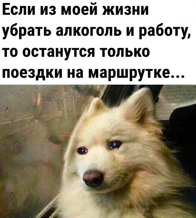 Весёлые картинки 2