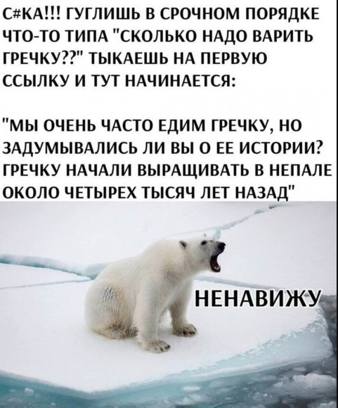Так себе картинки 02.02.25