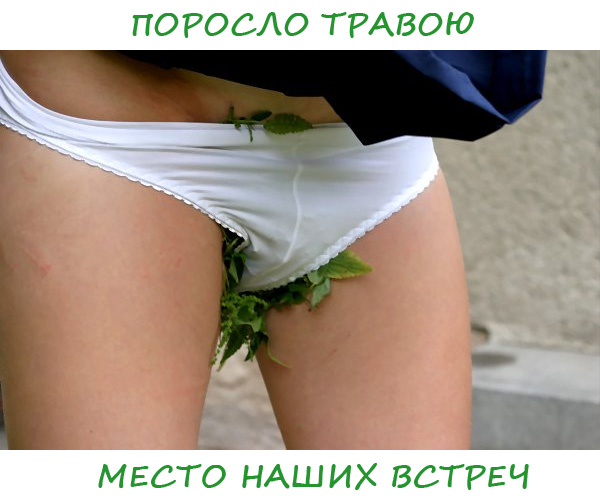 Картинки разные (не первой свежести)