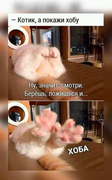 Так себе картинки 31.05.25