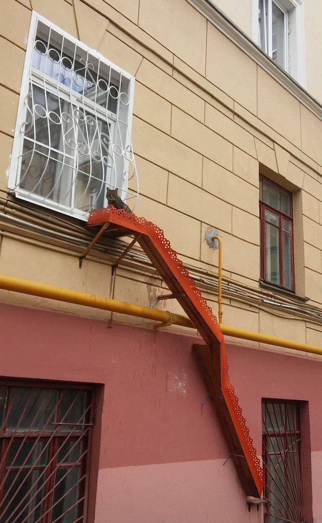 Делал потягушки и заснул