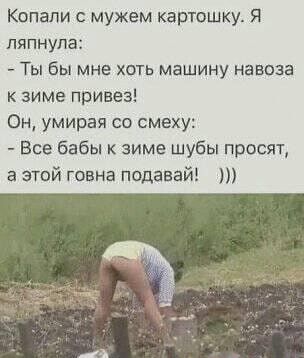Прикольные и просто красивые картинки 29.08.2025