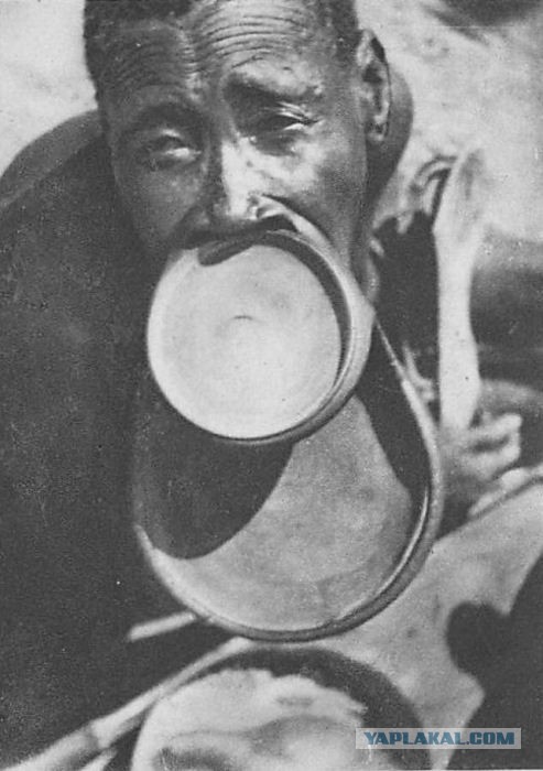 А помните людей с тоннелями в ушах?