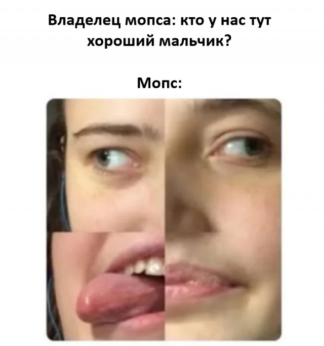 Ручей тупости