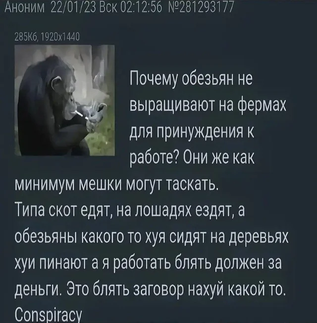 Веселые картинки в пятницу (10.10)
