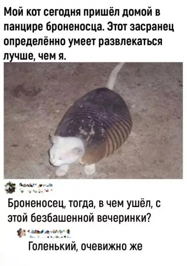 Подборка картинок-баянов с котиками и про котиков. Выпуск 21