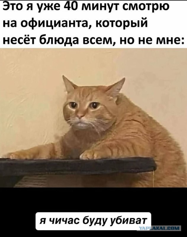 Жизненно, иногда черно, вобщем как попало