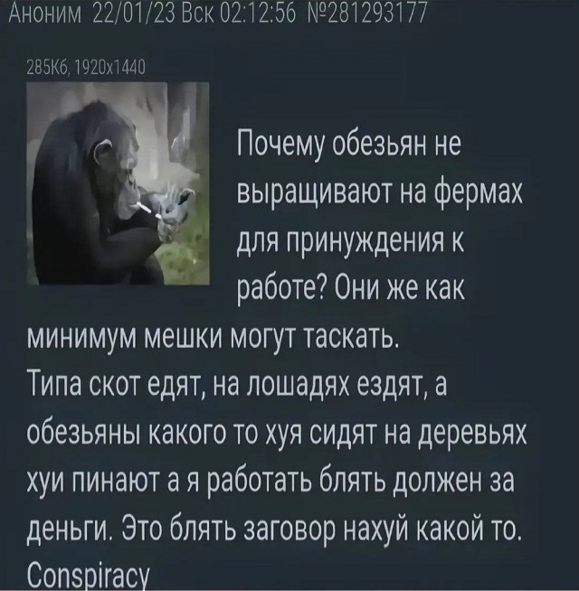 Фото из анналов №2