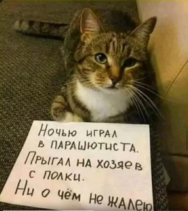 Шерстяные пидо.... братья наши меньшие