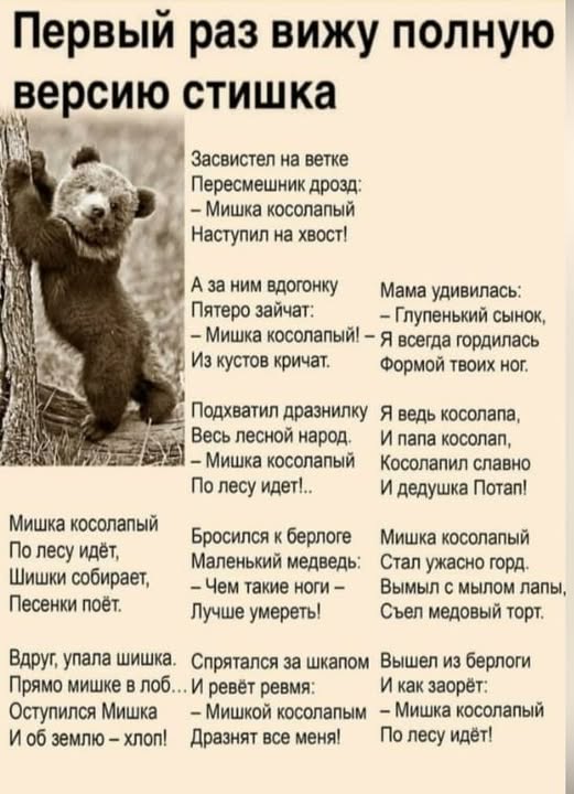Заключительные баяны 2025