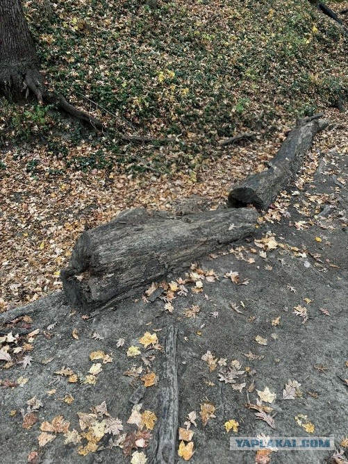 Фотожаба : "Фотошопте меня полностью".