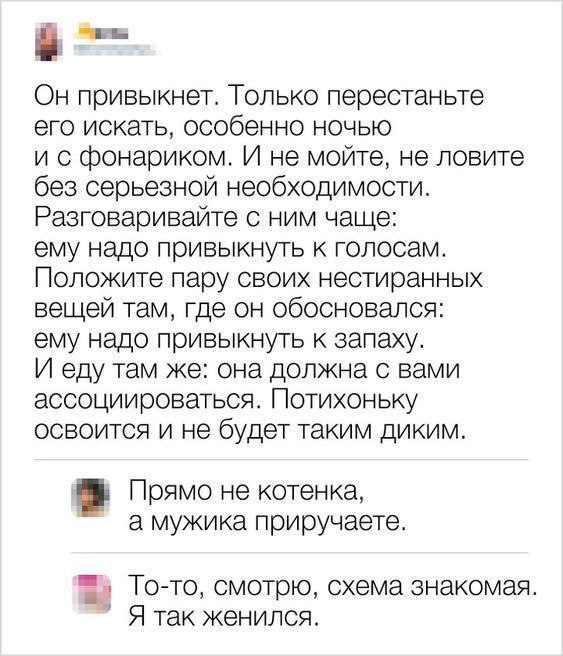 Немного картинок разной степени новизны и адекватности