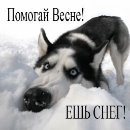 Прикольные и просто красивые картинки 13.03.2026
