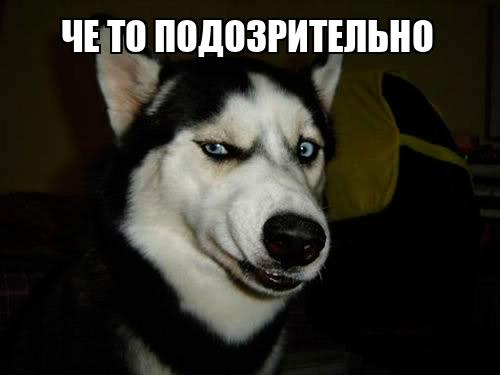 Ластик со слоником