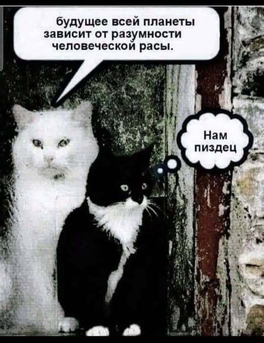 Воскресные картинки