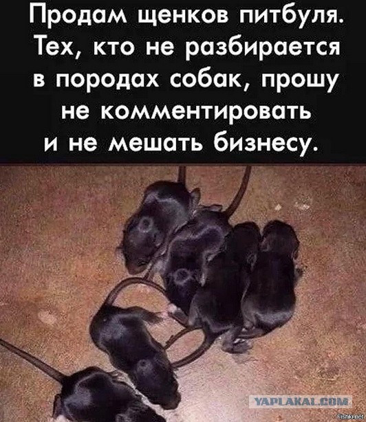 Что такое ламповый звук и почему он так хорош