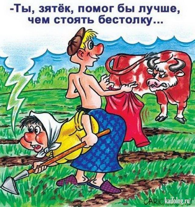 Картинки. Баяны и аккордеоны