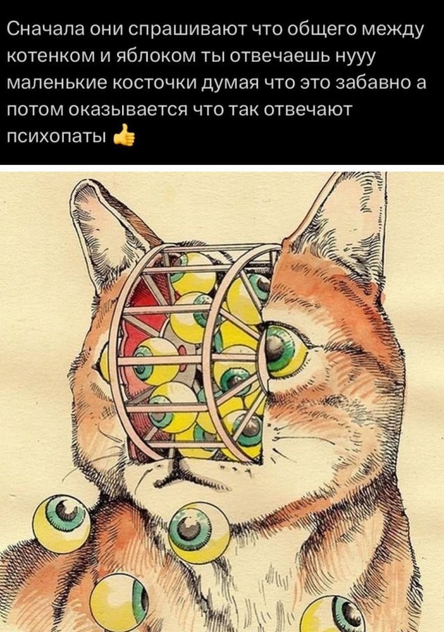 Так себе картинки 25.08.26