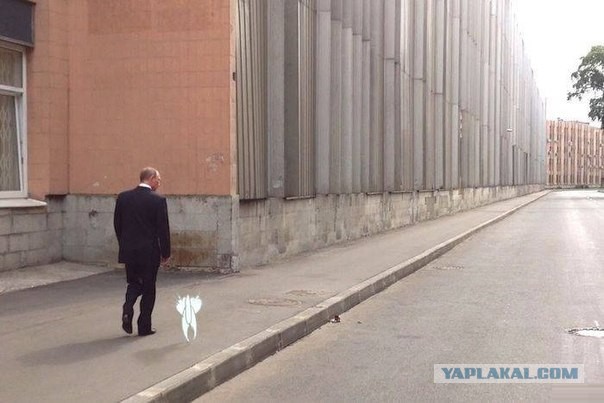 Кавказцы расстреляли бар на улице Ломоносова