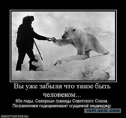 Мишкочетверг