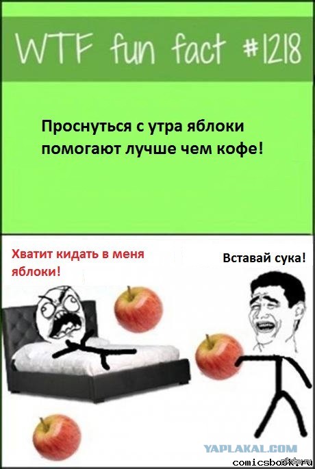 Приколы и маразмы 2