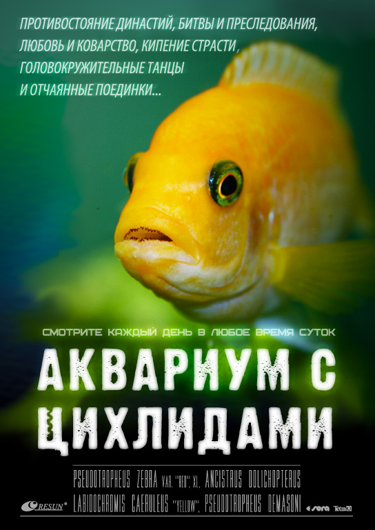 Не про котов, не про собак - про рыбок.