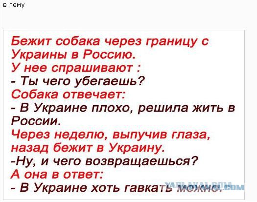Снова вместе. Крым.