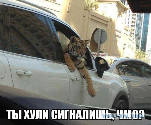 Картинки на Воскресенье, ассорти.