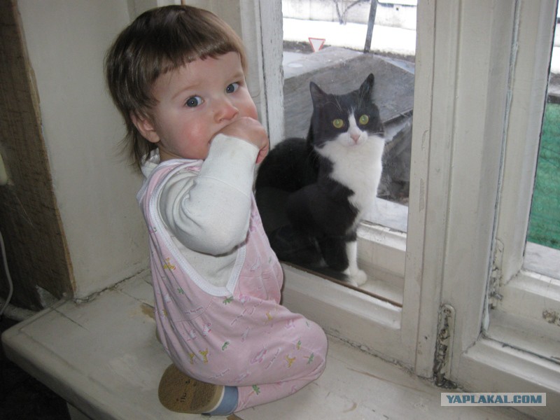 Включи малышам котиков. Счастливый малыш с котом. Клфеныц Коти ребенок. Котик малыш из суздоли.
