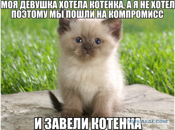Готовлю иск