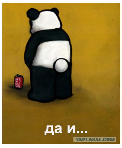 Медведи почти на все случаи жизни
