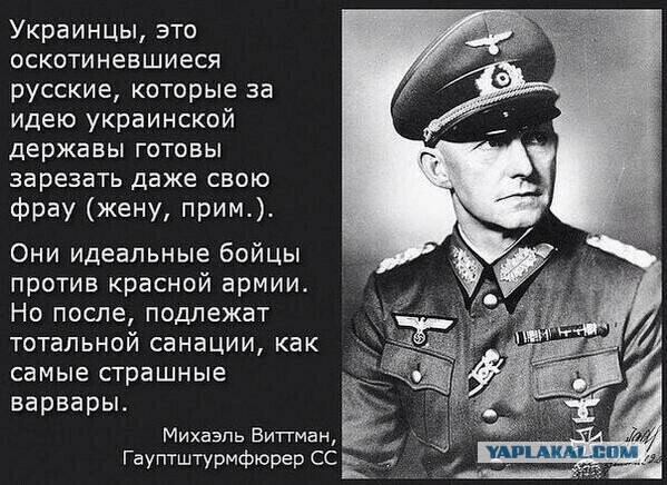 Все зассали и кнокают ©
