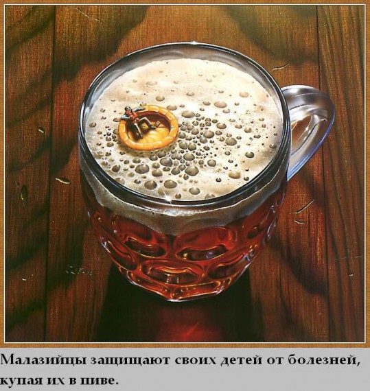 Факты в картинках