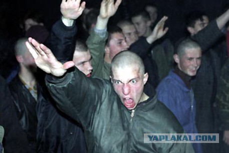 Смешанная кровь