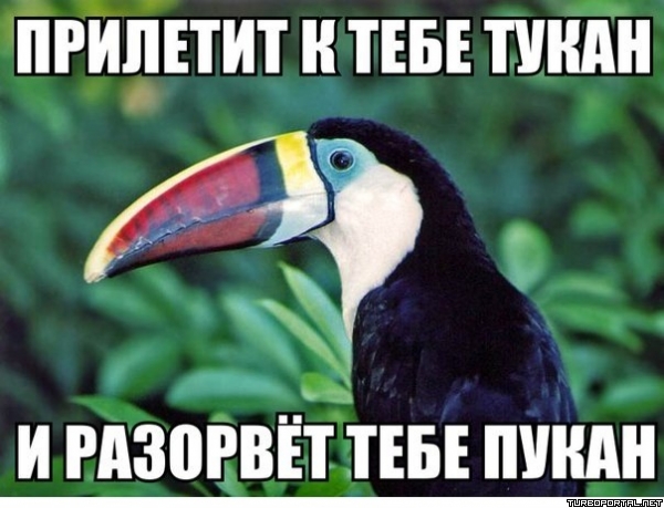 Знаю, что всем осточертело, но...