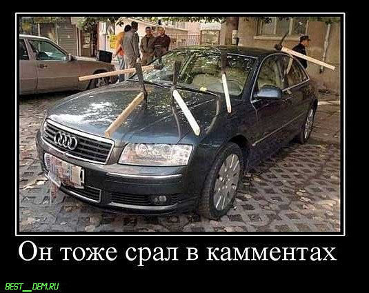 Смешные картинки из соц. сетей.