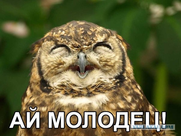 Вызов по-русски