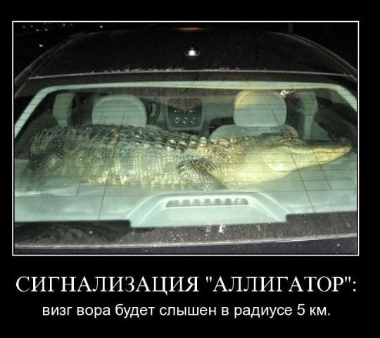 Моя подборка веселенькой мути