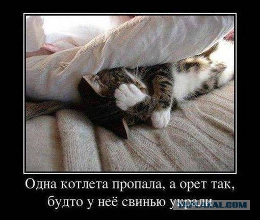 Фотки из инетов